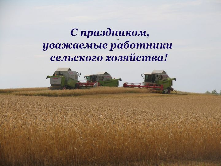 Поздравление главы Камско-Устьинского муниципального&nbsp;района с Днем работников сельского хозяйства