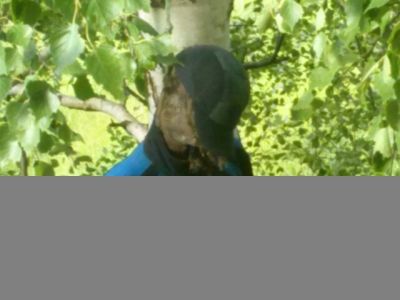 Житель Камско-Устьинского района пошел по ягоды, а нашел труп