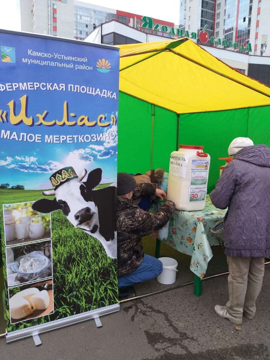 Очередная осенняя сельхозярмарка в Казани: богатый ассортимент и хорошее настроение