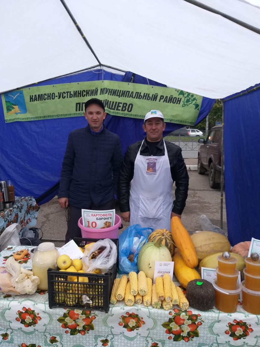 Очередная осенняя сельхозярмарка в Казани: богатый ассортимент и хорошее настроение