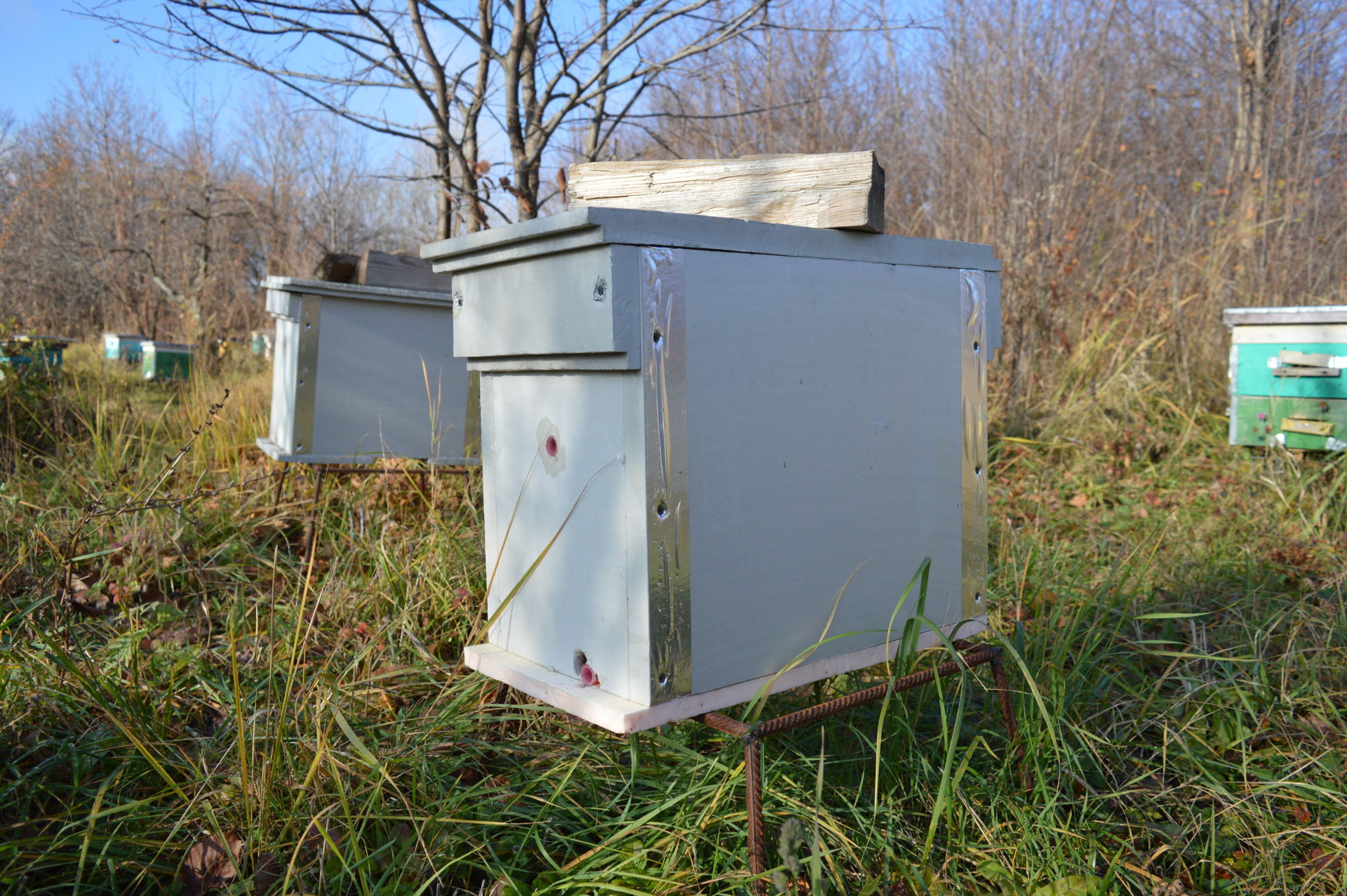 Пчеловод из Камско-Устьинского района построил апидомик для оздоровления
