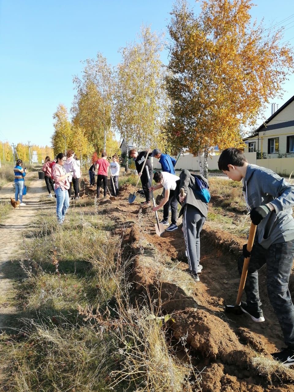Педагоги и ученики Камскоустьинской школы посадили тополиную аллею
