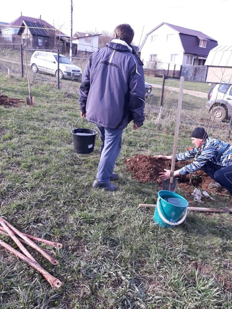 Красновидовцы приняли участие в акции "Сад памяти"