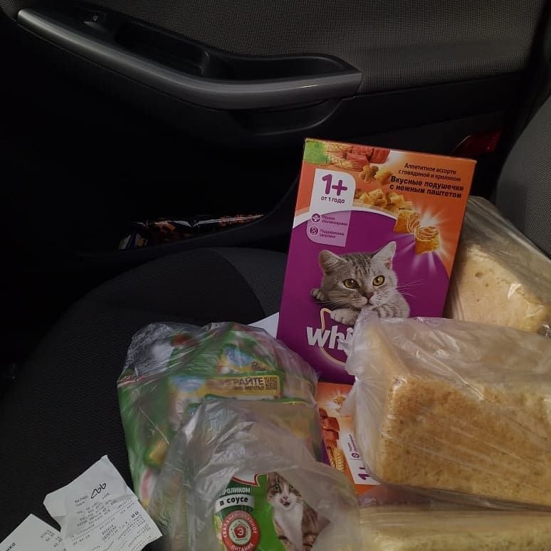 В Камском Устье волонтёр привезла пенсионеру хлеб и корм для кота
