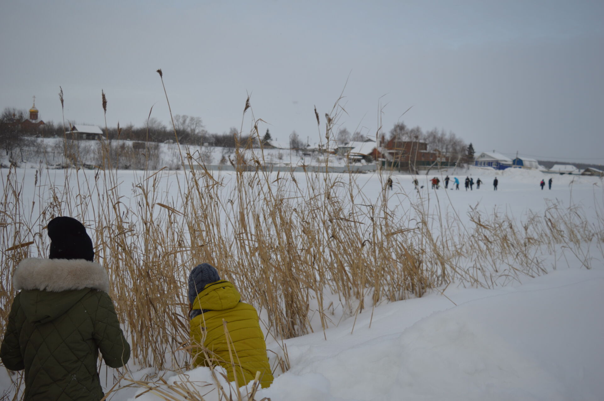 Сегодня на Школьном озере в Камском Устье прошла традиционная зимняя акция по сохранению фауны водоема