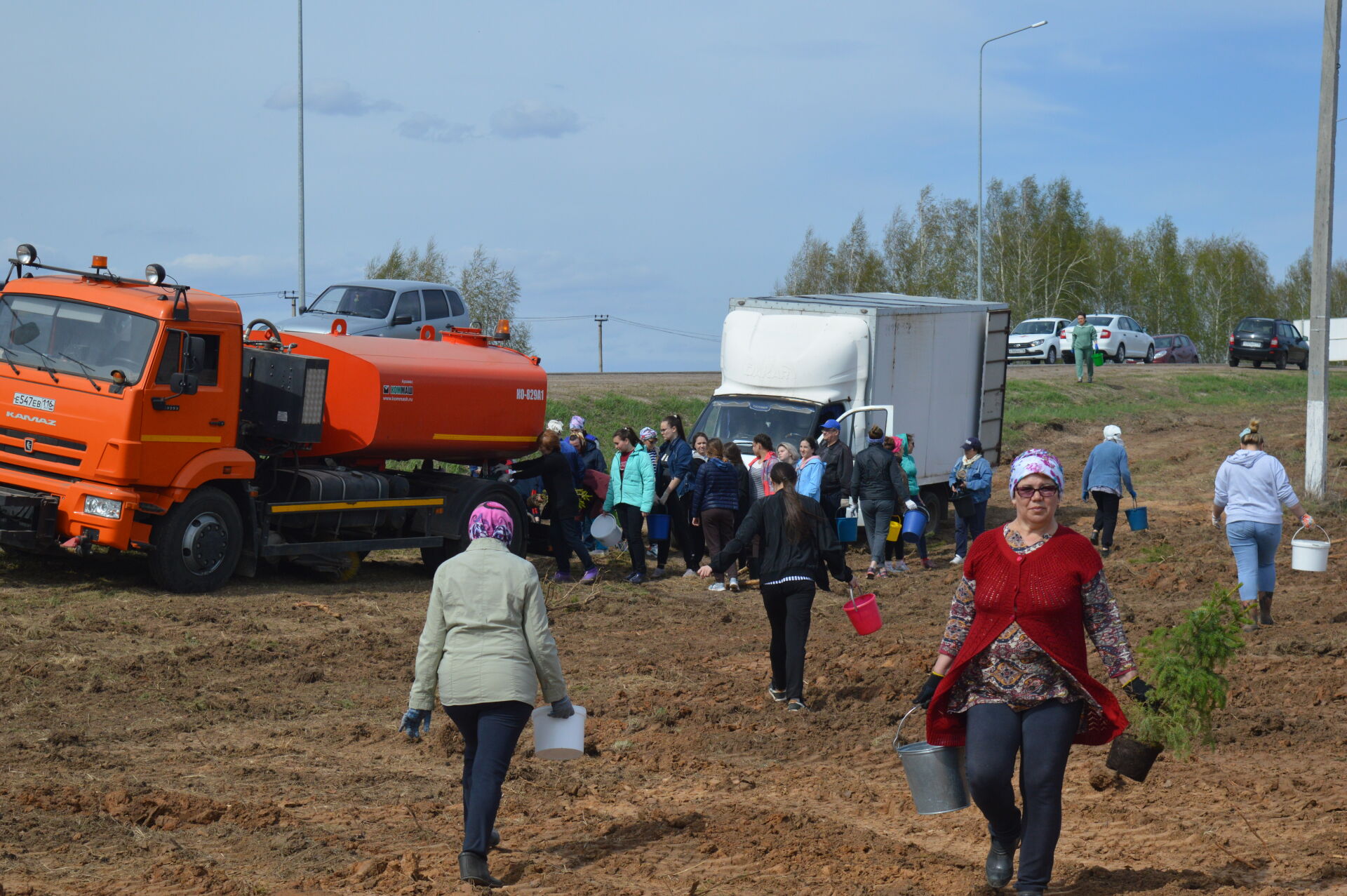 300 саженцев елей высадили сегодня в Камском Устье