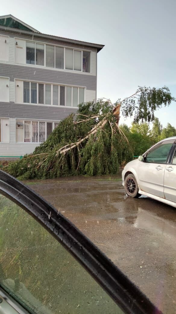 Снёс крыши и повалил деревья: последствия сильного ветра в Камском Устье
