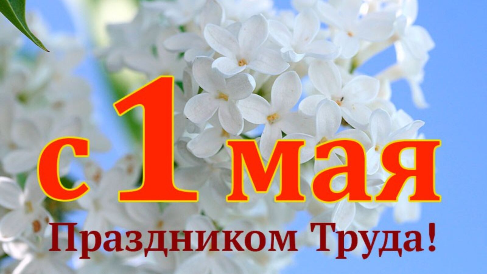1 мая день весны и труда
