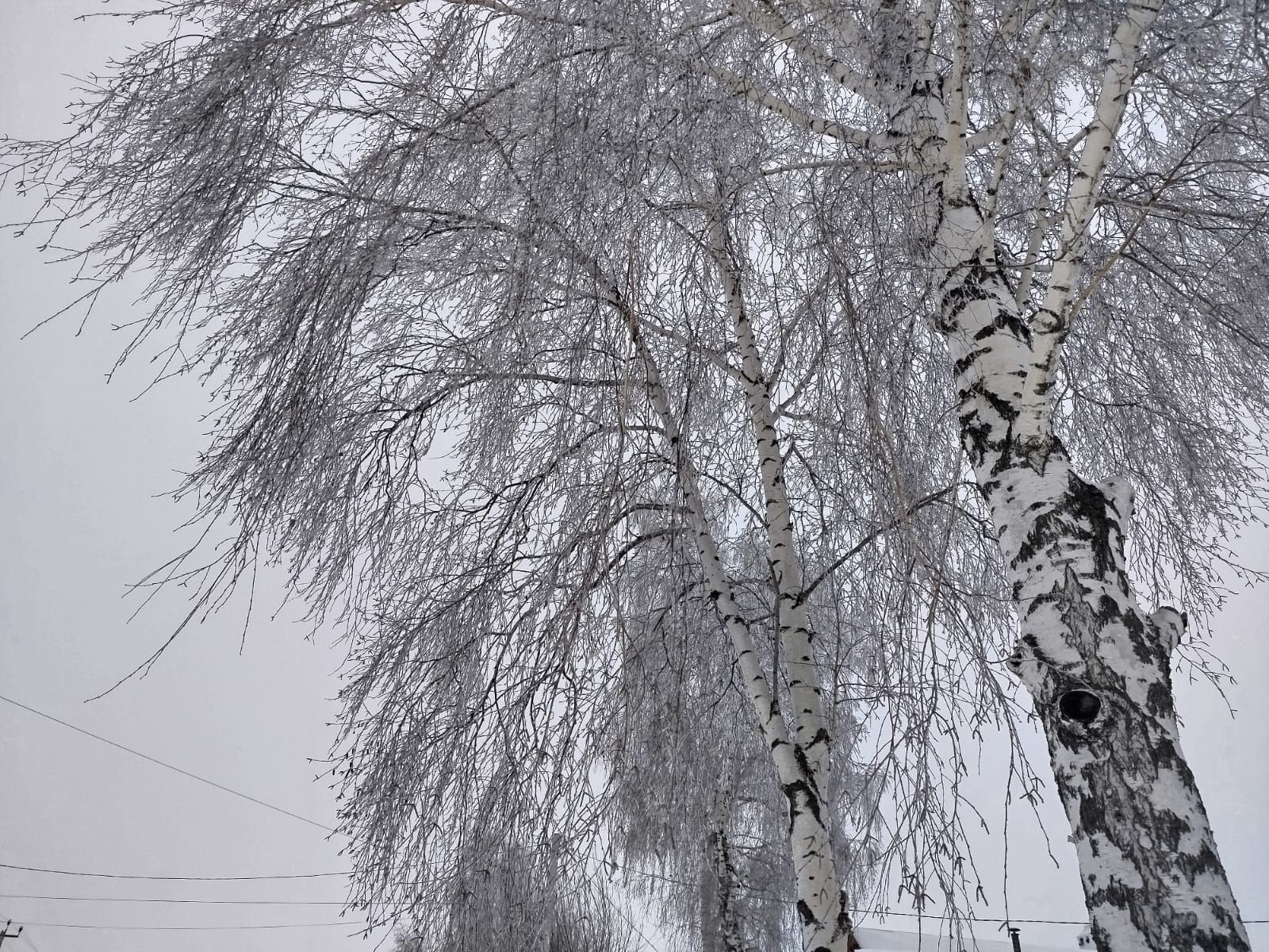 Ночью и утром  до -10˚, на дорогах гололедица