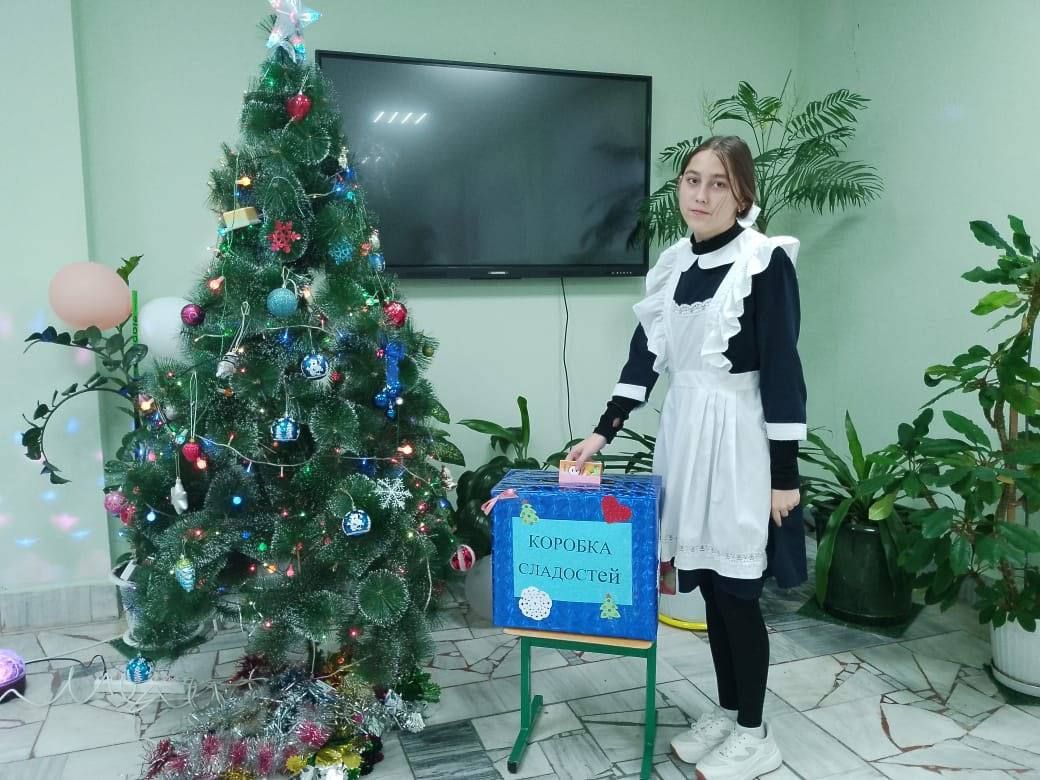 Сладкие подарки собрали школьники для бойцов СВО