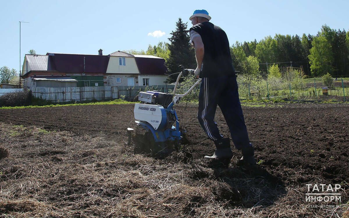 Владельцы заброшенных участков в Татарстане обязаны благоустроить землю за три года