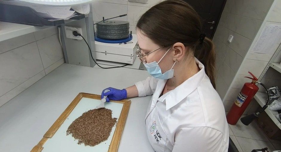 Татарстан наращивает экспорт масличного льна: поставки в Китай выросли на 15%