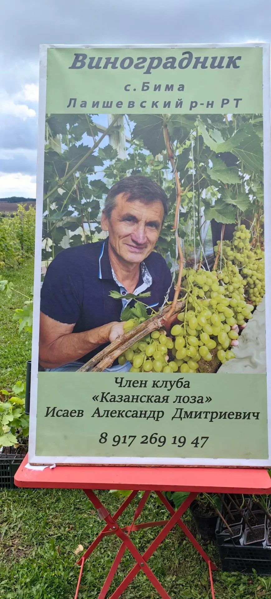 В Камском Устье сегодня прошла межрегиональная выставка винограда