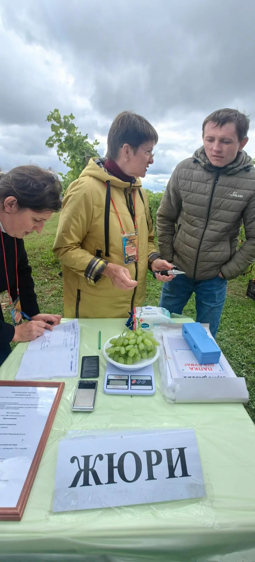 Выставка винограда в Камском Устье
