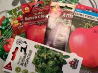 Лунный посевной календарь на 2026 год: главные правила и благоприятные даты