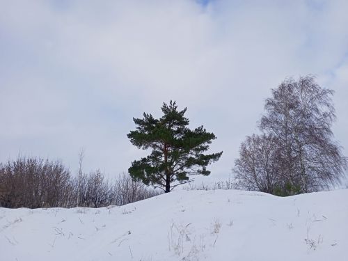 Прогноз погоды на завтра