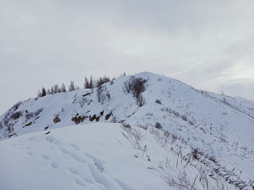 Январь 2023: от Лобача до Зимовья