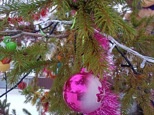 Сегодня жители Южной околицы встретятся у праздничной елки