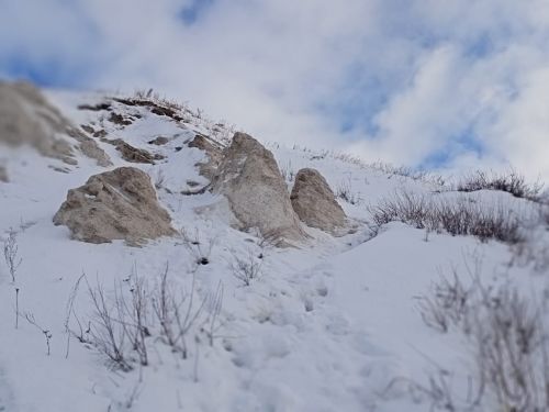 Январь 2023: от Лобача до Зимовья