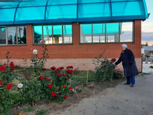 Талантливый человек талантлив во всем