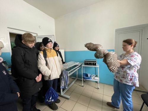Ветеринарные врачи провели для школьников экскурсию