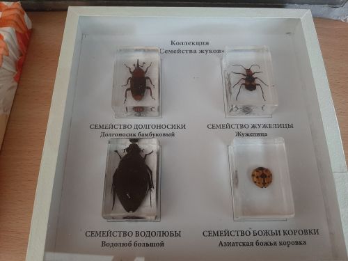 Учеба стала интереснее