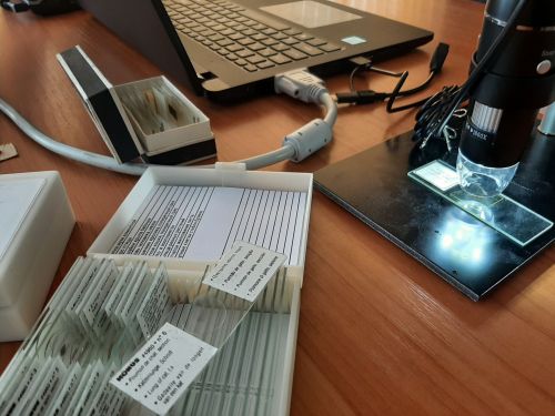 Учеба стала интереснее