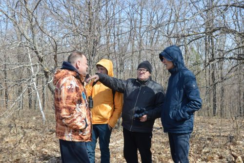 В Камском Устье будут разводить исчезающий вид соколов