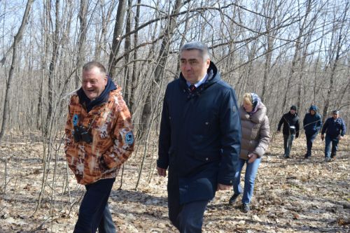 В Камском Устье будут разводить исчезающий вид соколов