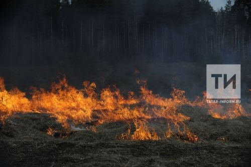 В Татарстане из-за высокой пожароопасности продлен противопожарный режим