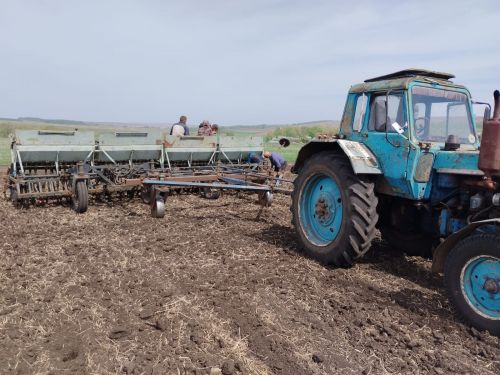 Фермеры завершают посевную