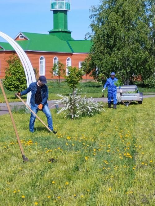 Акция «Сад Памяти» проходит в Камско-Устьинском районе