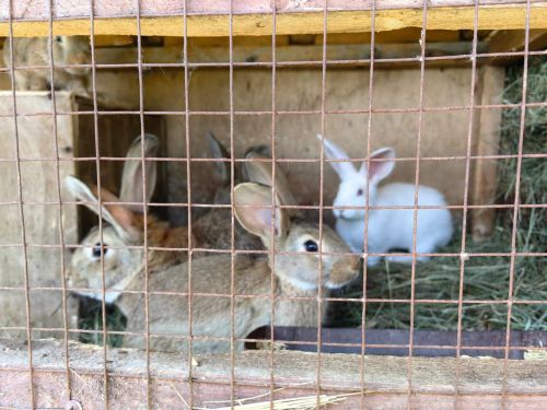 В Рудницкой школе продолжается активная работа