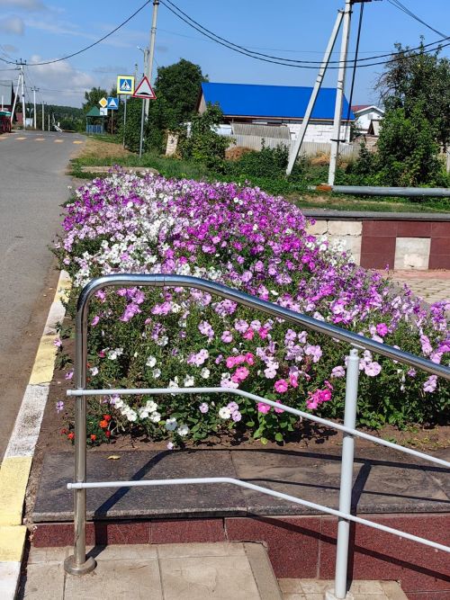 Самые ухоженные цветники в Камском Устье около РДК