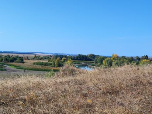 Давно были на камскоустьинском пляже?