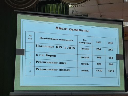 Сход граждан прошел в Балтачево и Больших Клярях