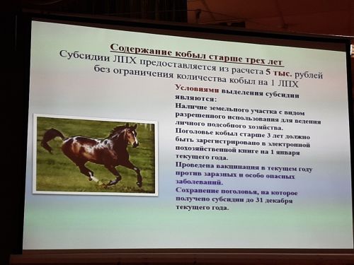 Сход граждан прошел в Балтачево и Больших Клярях