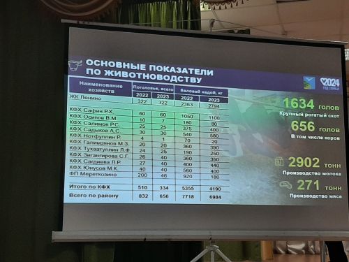 Сход граждан прошел в Балтачево и Больших Клярях