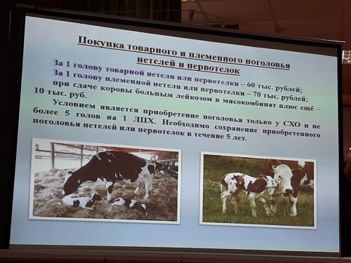 Сход граждан прошел в Балтачево и Больших Клярях