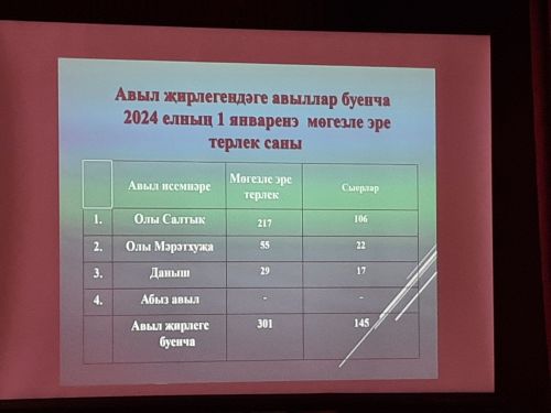 Сход граждан прошел в Большесалтыковском сельском поселении