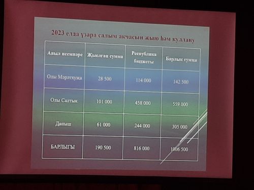Сход граждан прошел в Большесалтыковском сельском поселении