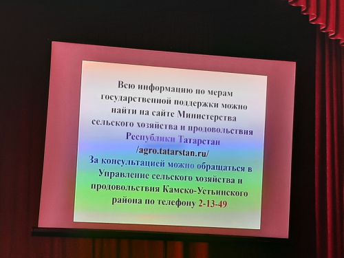 Сход граждан прошел в Большесалтыковском сельском поселении