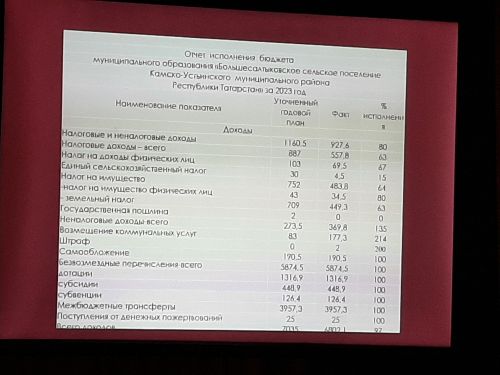 Сход граждан прошел в Большесалтыковском сельском поселении