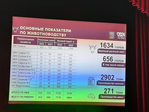 Сход граждан прошел в Большесалтыковском сельском поселении