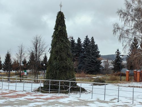 Камскоустьинцам предлагают всей семьей участвовать в новогодних конкурсах