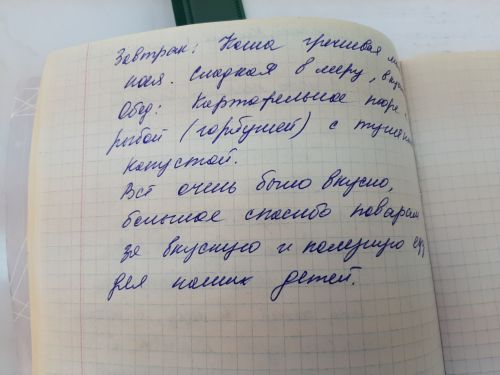 Питание школьников контролируют родители