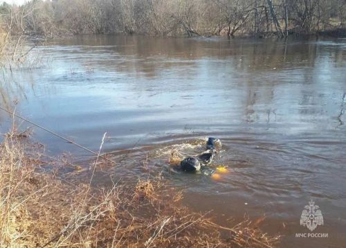 В Татарстане девушка без водительских прав утопила машину с людьми