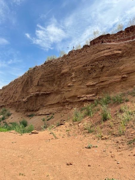В Камско-Устьинском районе найдено новое место для фотосессии