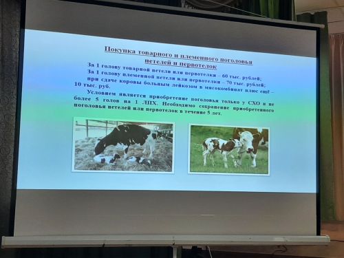 Сразу три схода граждан прошли 14 августа