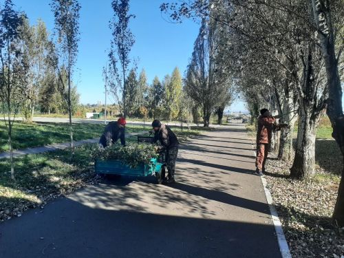 Осенняя уборка в Камском Устье